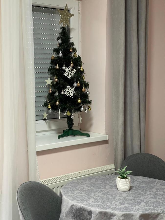 Apartment Cactus 021 Novi Sad Ngoại thất bức ảnh